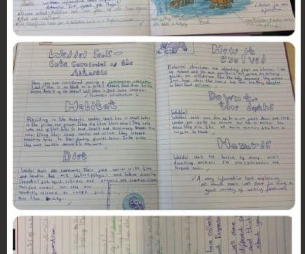 Antartic Writing Class 2