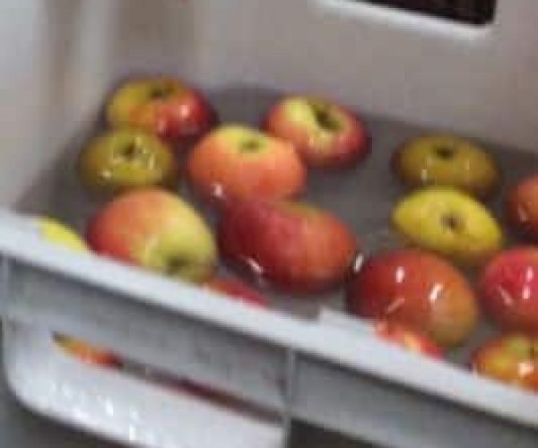 Apple bobbing