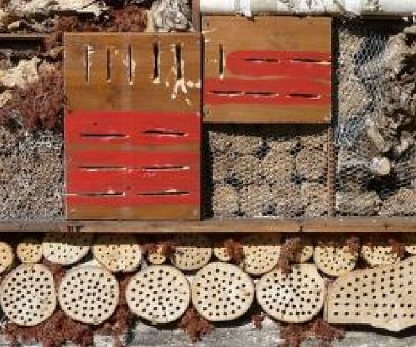 Bug hotel