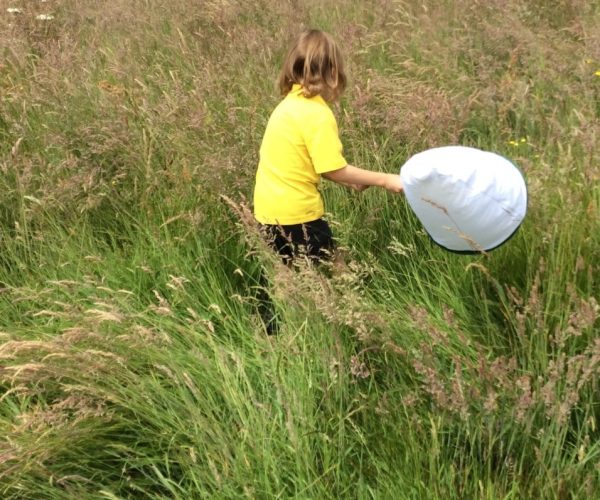 Bug hunt with net 2022