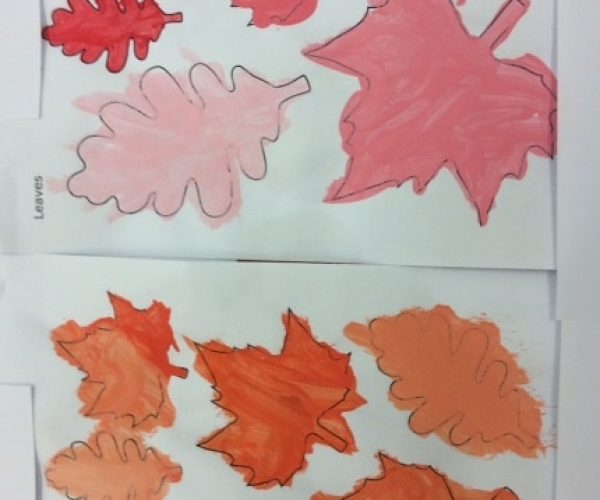 Clas 1 shaded leaves sept 2020