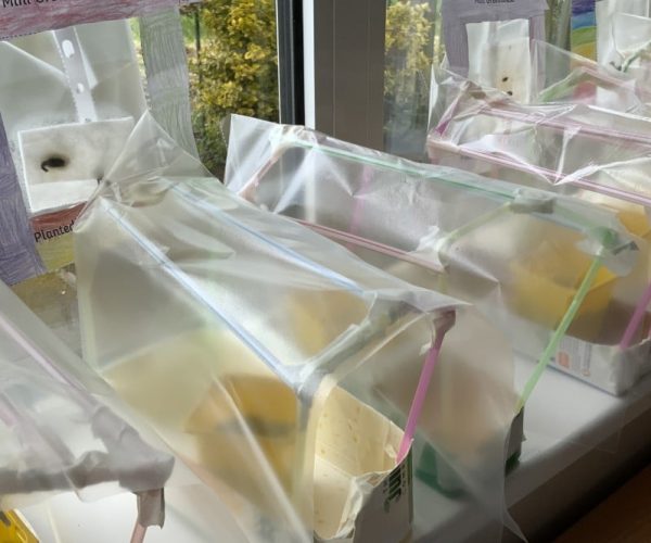 Class 1 Greenhouses