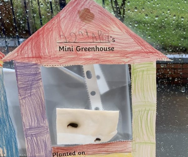 Class 1 Mini Greenhouses