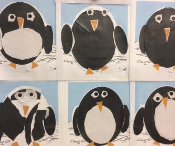Class 1 Penguins 1