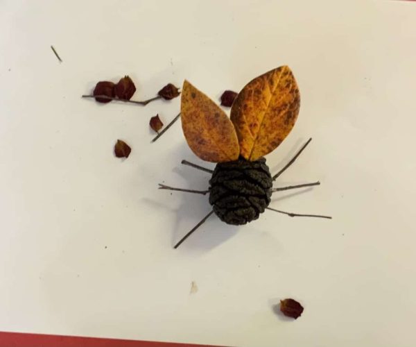 Class 1 greenery insect art bee
