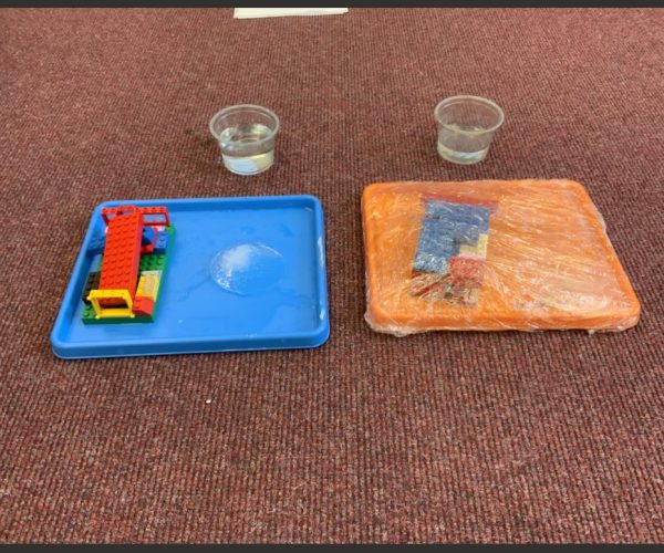 Climate Change Experiment Class 1 2025