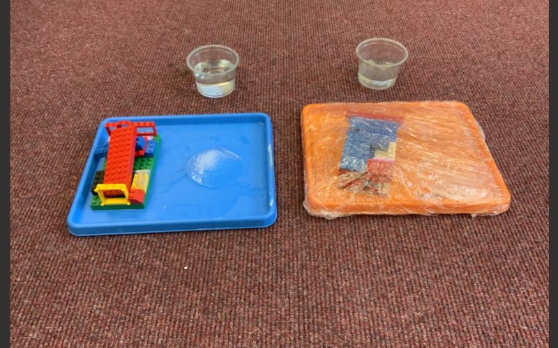 Climate Change Experiment Class 1 2025