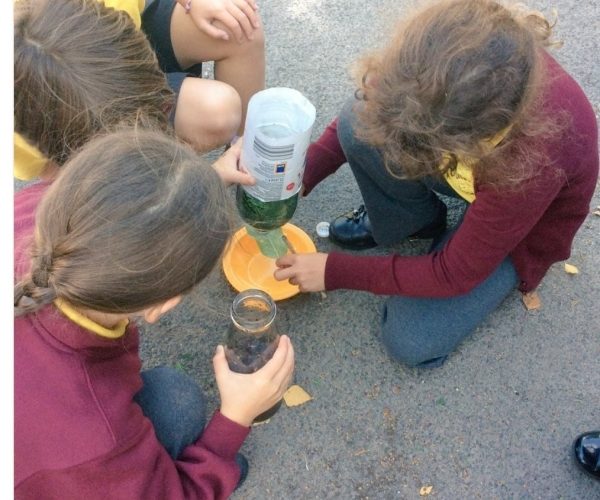 Cs science experiment