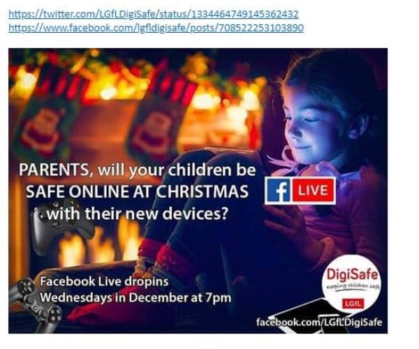 Digisafe Christmas drop insJPG