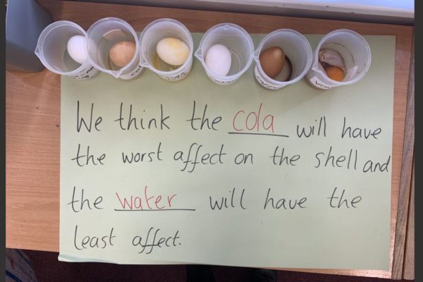 Egg experiment class 2 2025