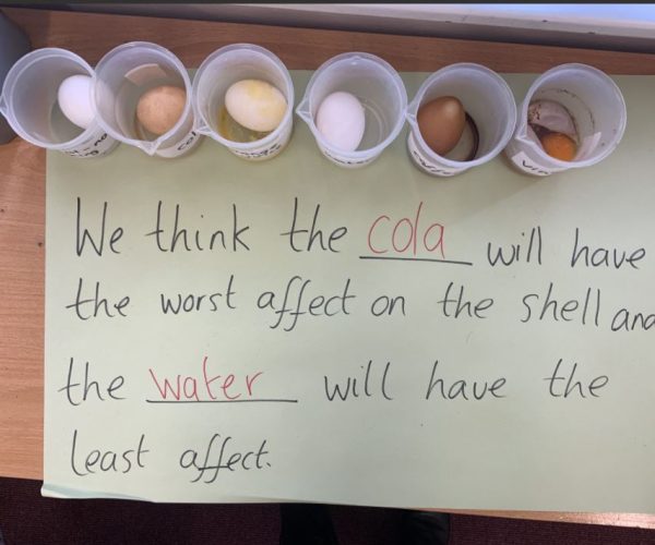 Egg experiment class 2 2025