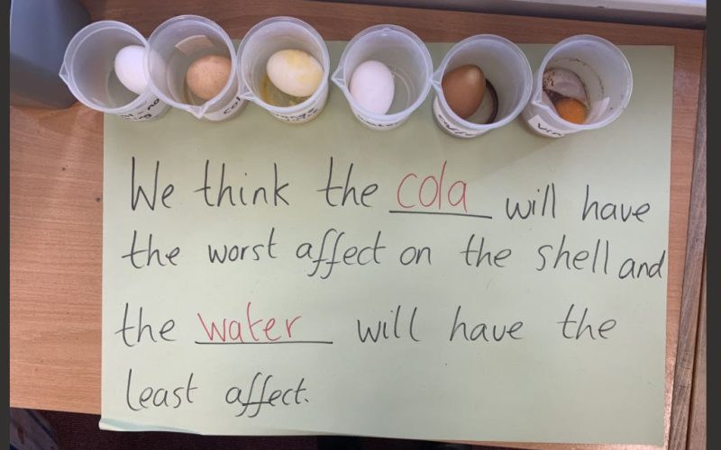 Egg experiment class 2 2025