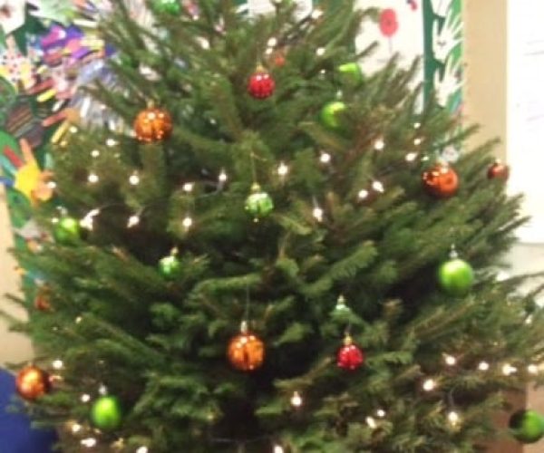 Garden Store Christmas Tree 2019