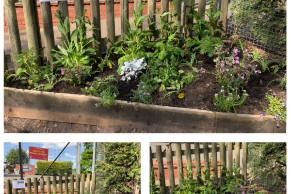 Gardening summer 2025 1