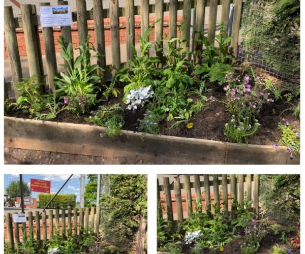 Gardening summer 2025 1