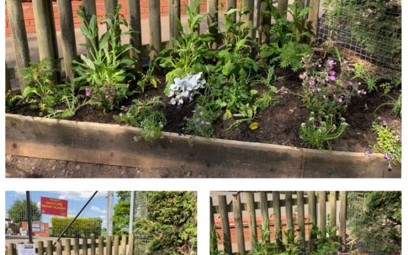 Gardening summer 2025 1