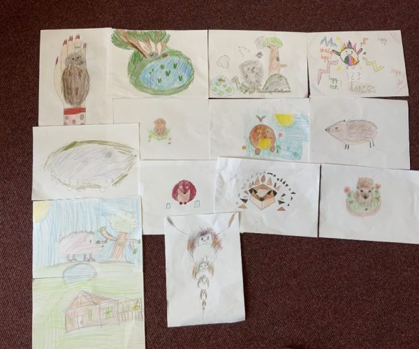 Hedgehog posters 2