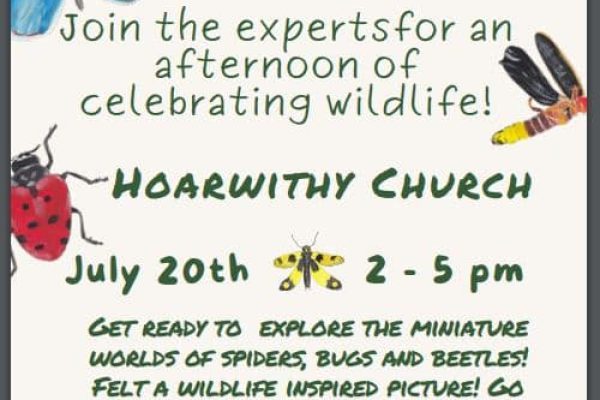 Hoarwithy Get Wild Event July 2024