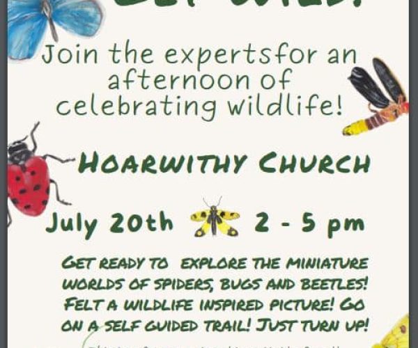 Hoarwithy Get Wild Event July 2024