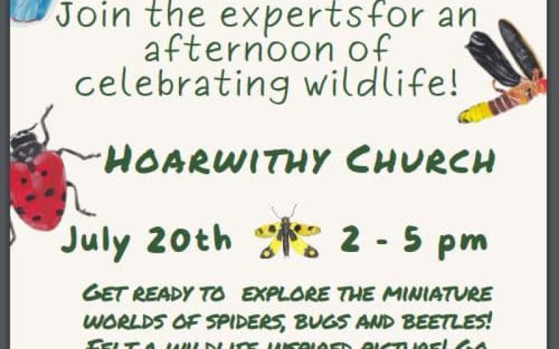 Hoarwithy Get Wild Event July 2024