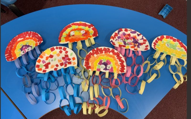 Jellyfish class 1 2025