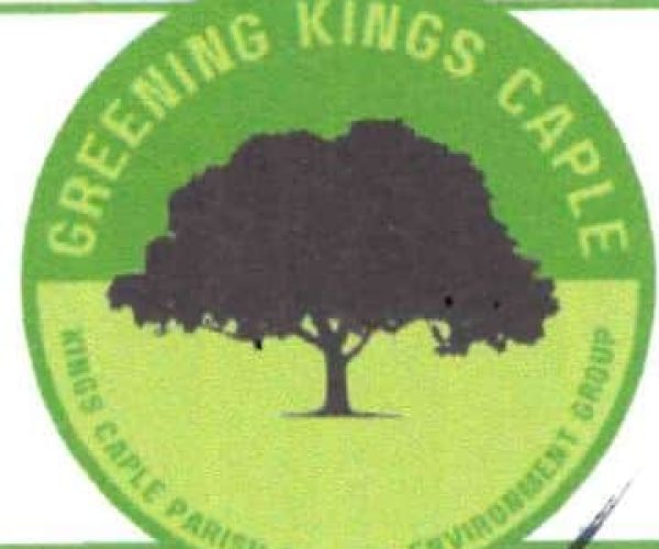 KC Envioronment Group logo