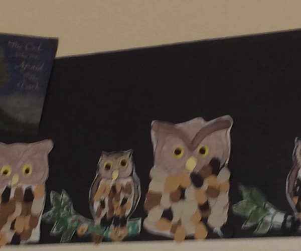 Owls Sept 2018