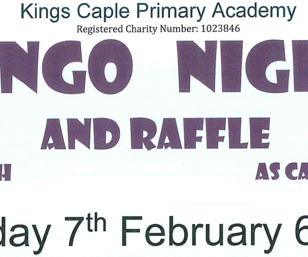 PTFA Bingo Feb 2020