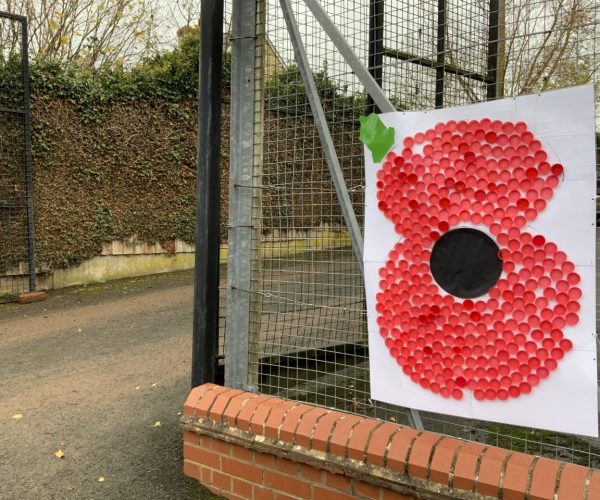 Poppy Day 2020 at Kings Caple Poppy Day 2020 at Kings Caple