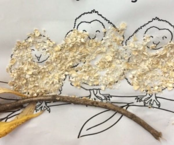 Porridge oat owl babies class 1