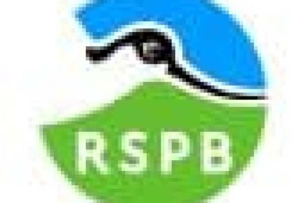 RSPB Big Schools Birdwatch