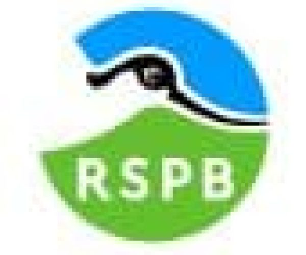 RSPB Big Schools Birdwatch