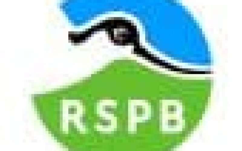 RSPB Big Schools Birdwatch