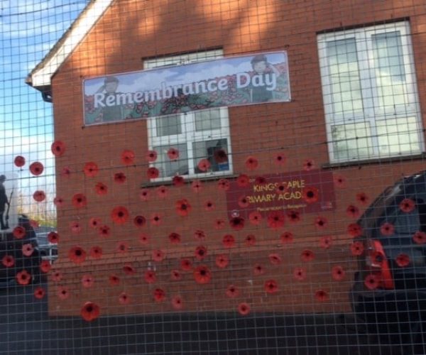 Remembrance poppied November 2019