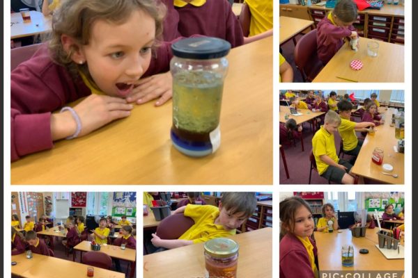 Science experiments lava lamps class 2 2025