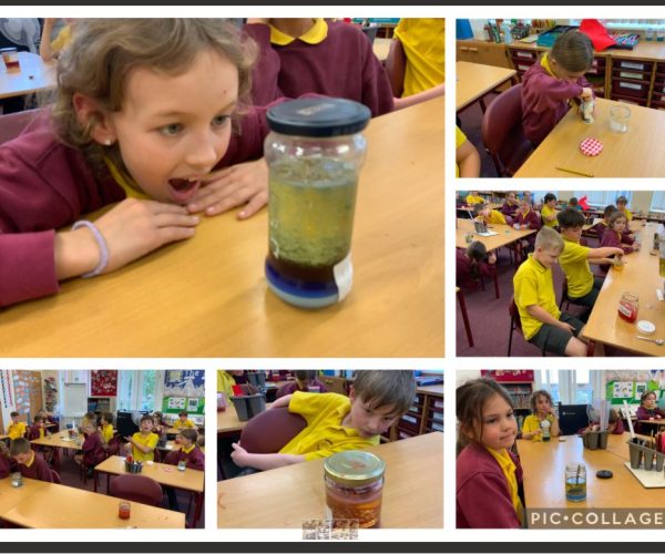 Science experiments lava lamps class 2 2025