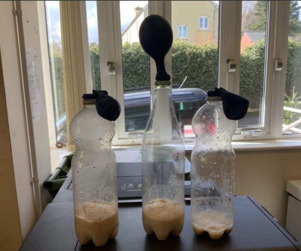 Science week 2023 gas experiment