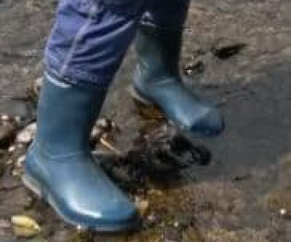 Wellies to use Wellies to use