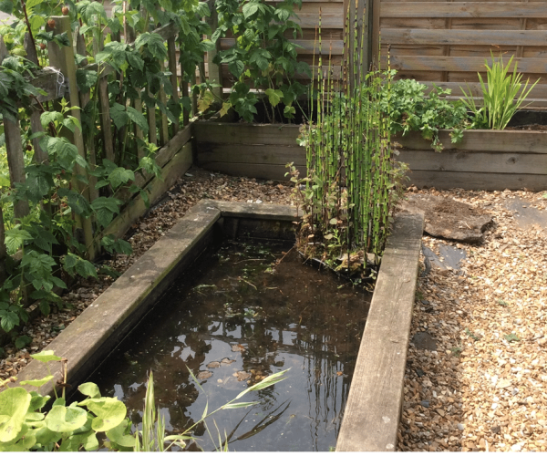 gardening summer 2019 4 gardening summer 2019 4